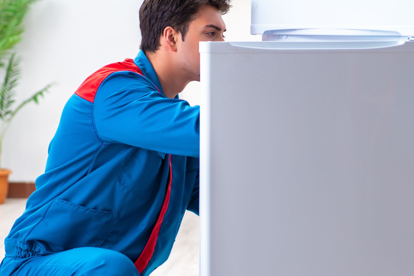 Conserto de Geladeira em Casa e Seguro